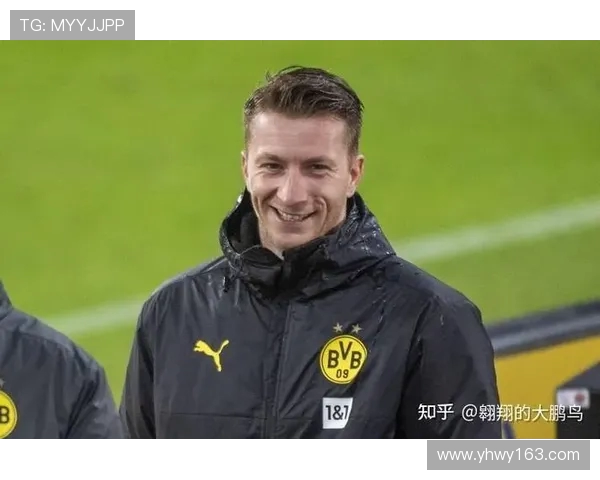 最新德甲球队派系分布及内部竞争格局